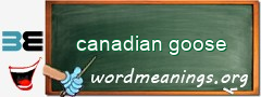 WordMeaning blackboard for canadian goose